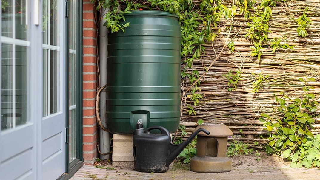 Get your garden summer-ready! - image