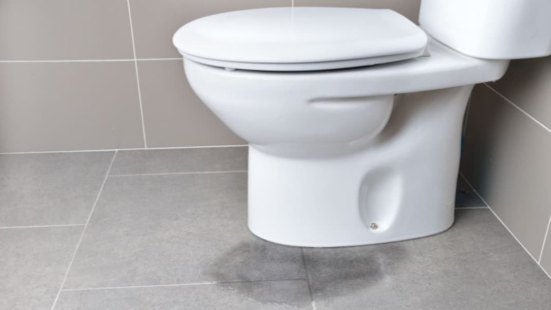 Bournemouth Water encourages households to check for hidden toilet leaks- image