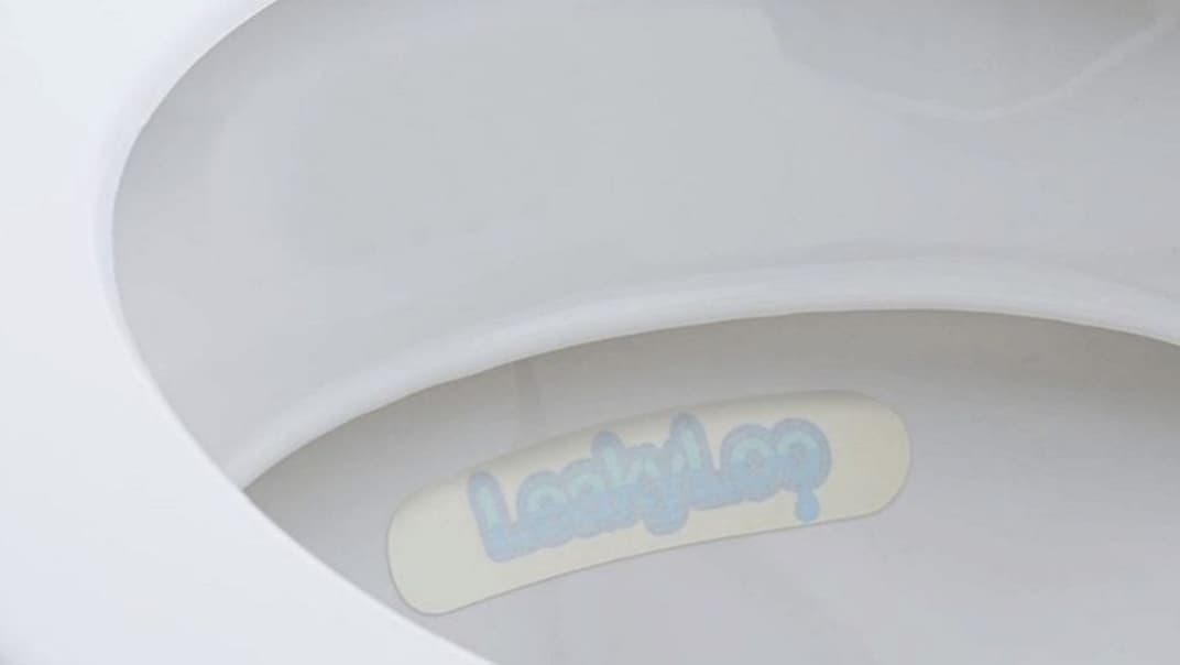 Bournemouth Water marks Water Saving Week with a quick and easy toilet test to check for hidden leaks - image