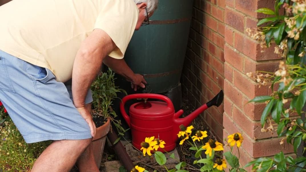 Why not get a water butt for your garden? - image