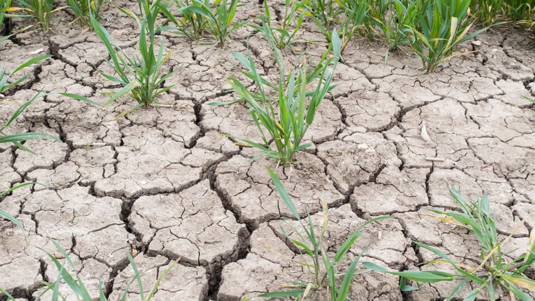 How long does it take for rain to refill water resources? - image