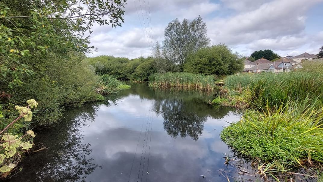 Keeping our local river happy: Big plans for the Bourne Stream - image