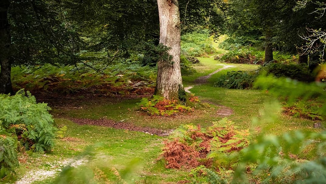 Our top 10 family-friendly places to visit this Summer- image