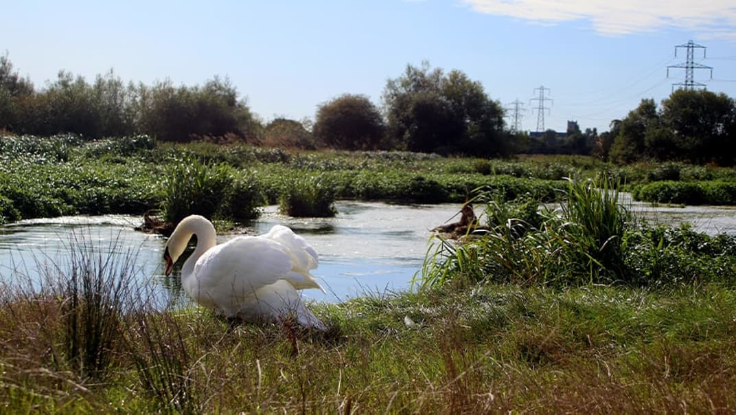 Managing Bournemouth’s water resources - image