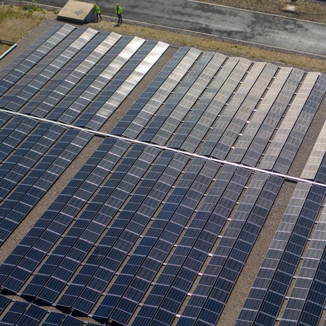 Reaching Net Zero and Enhancing Environmental Gains: image