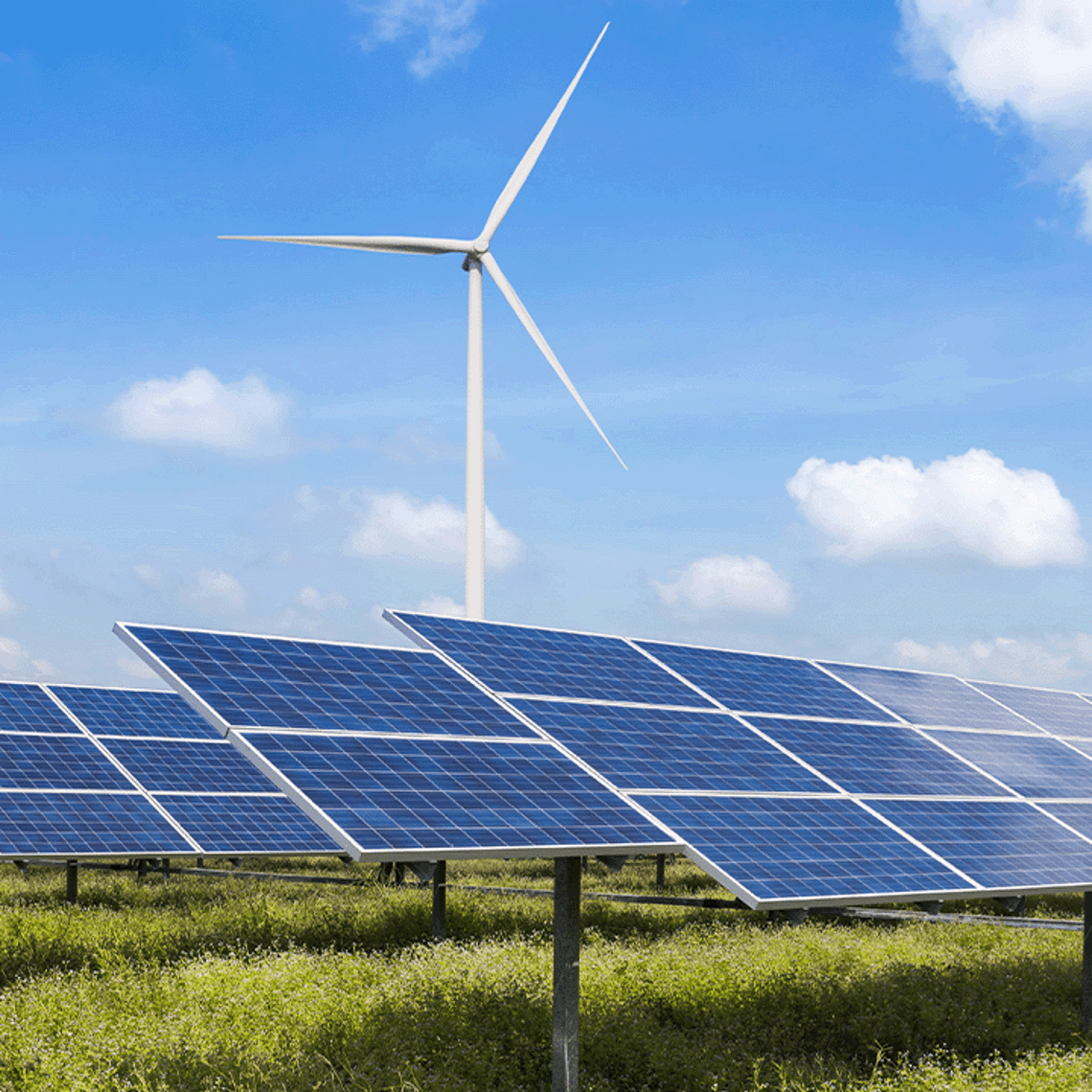 Solar panel and wind turbine