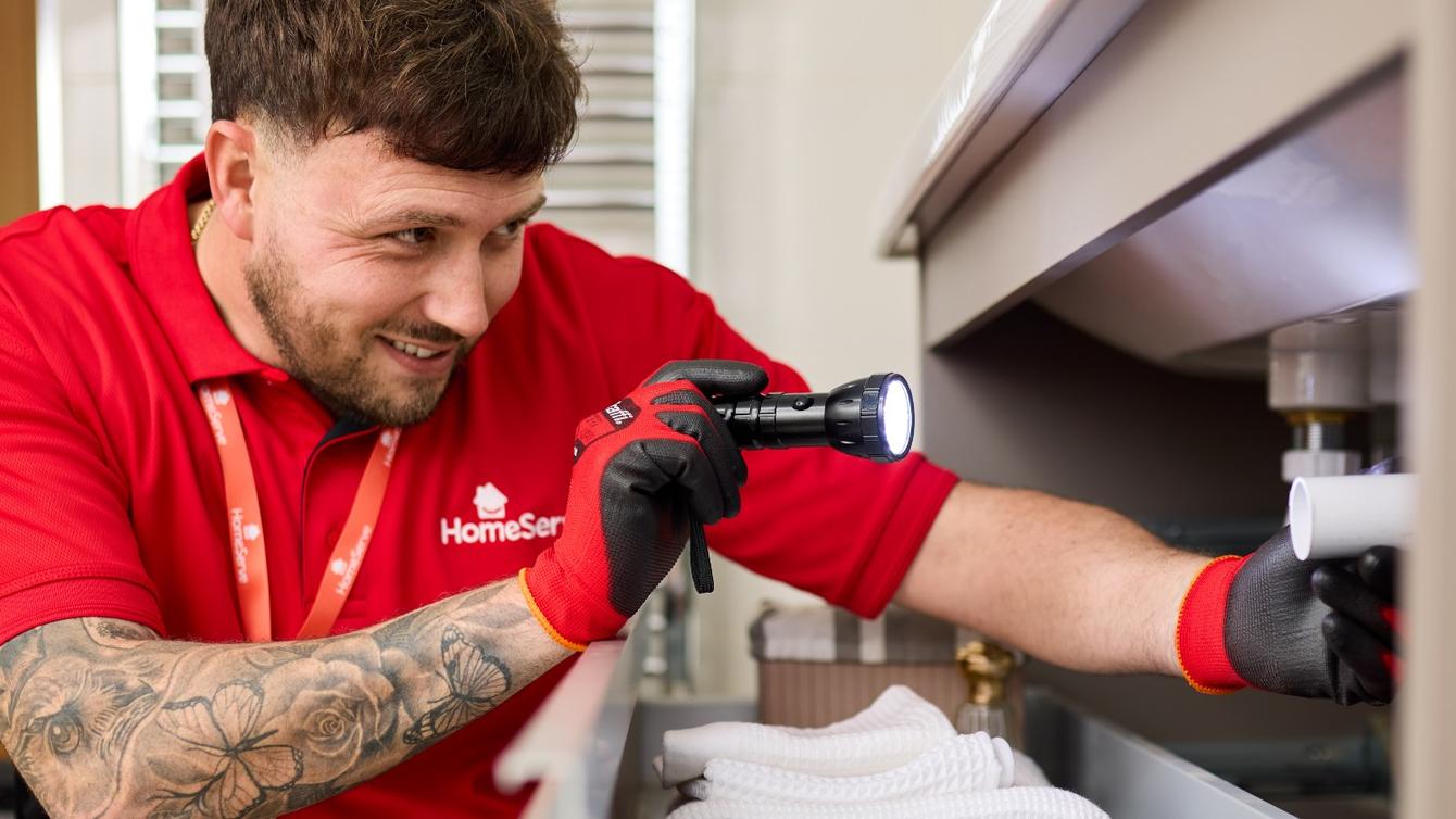 Plumbing and drainage cover image