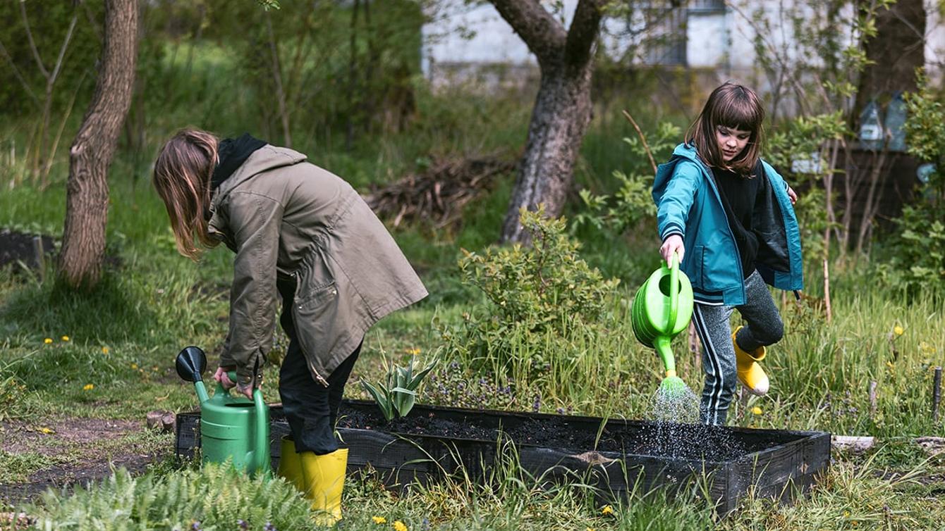 Have you got an idea to help save water in your local community? image