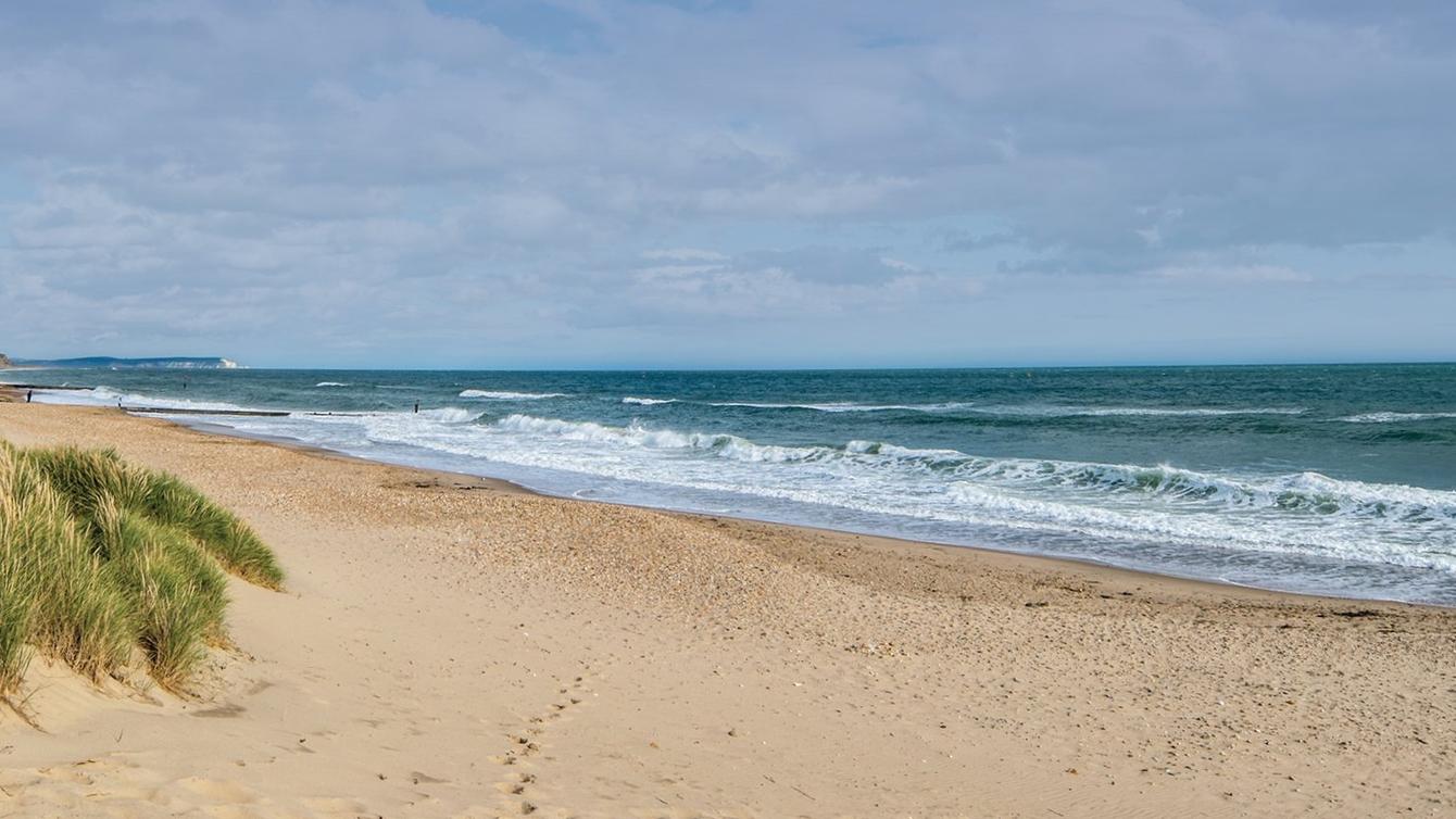 Are you visiting Bournemouth? image