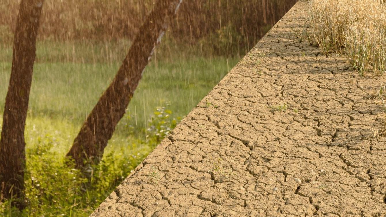 Every Drop Counts – Come Rain or Shine image