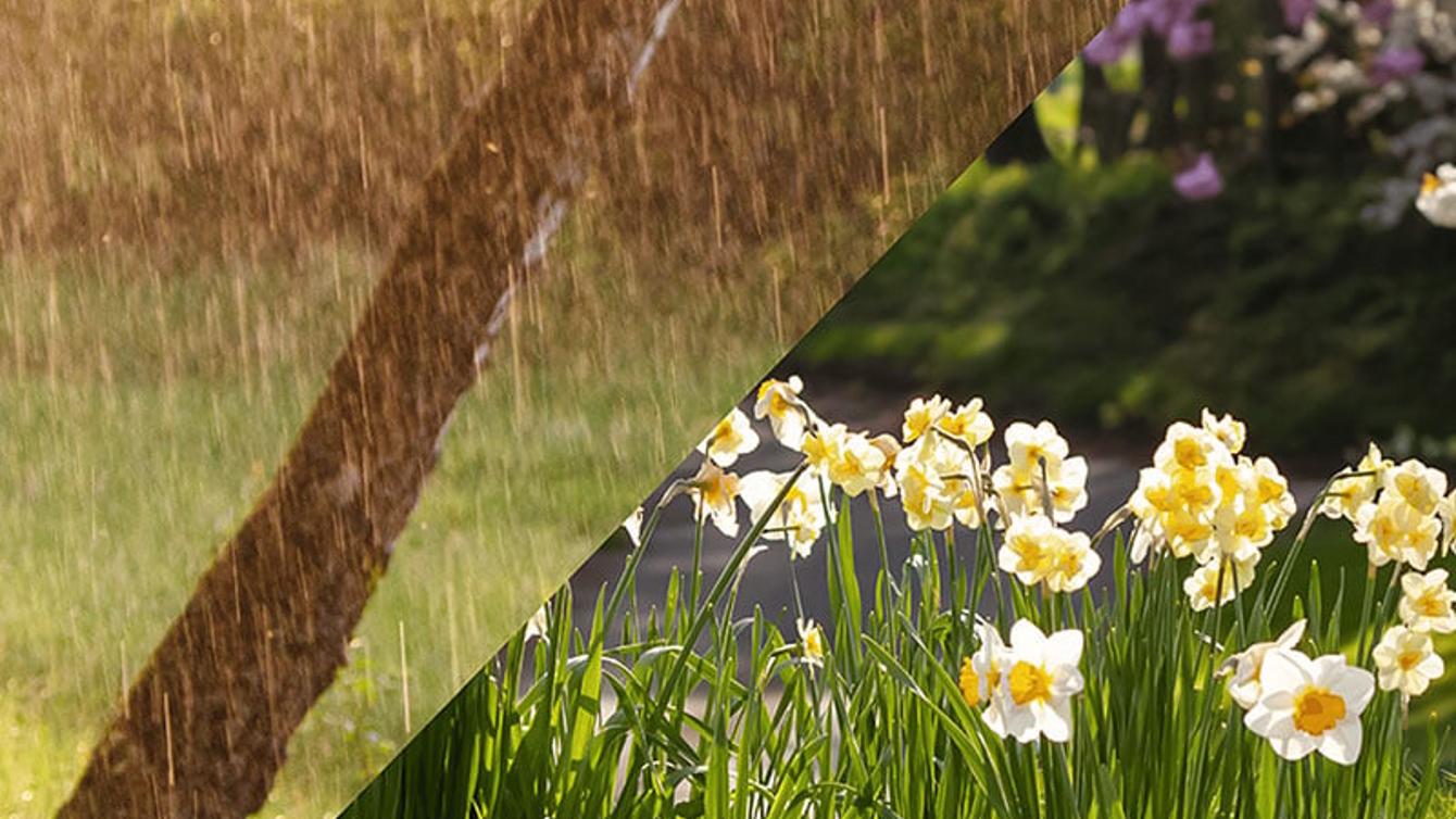 Every Drop Counts – Come Rain or Shine image