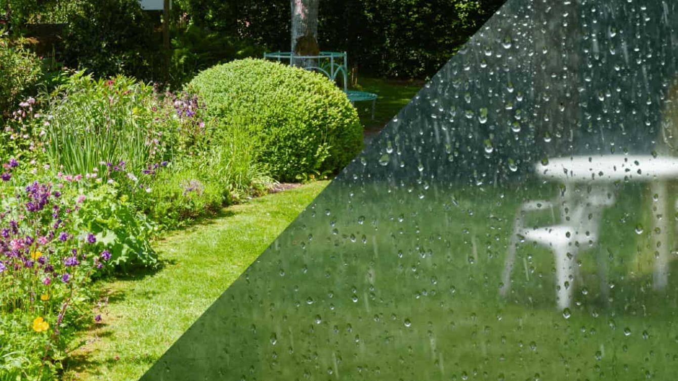 Every Drop Counts – Come Rain or Shine image