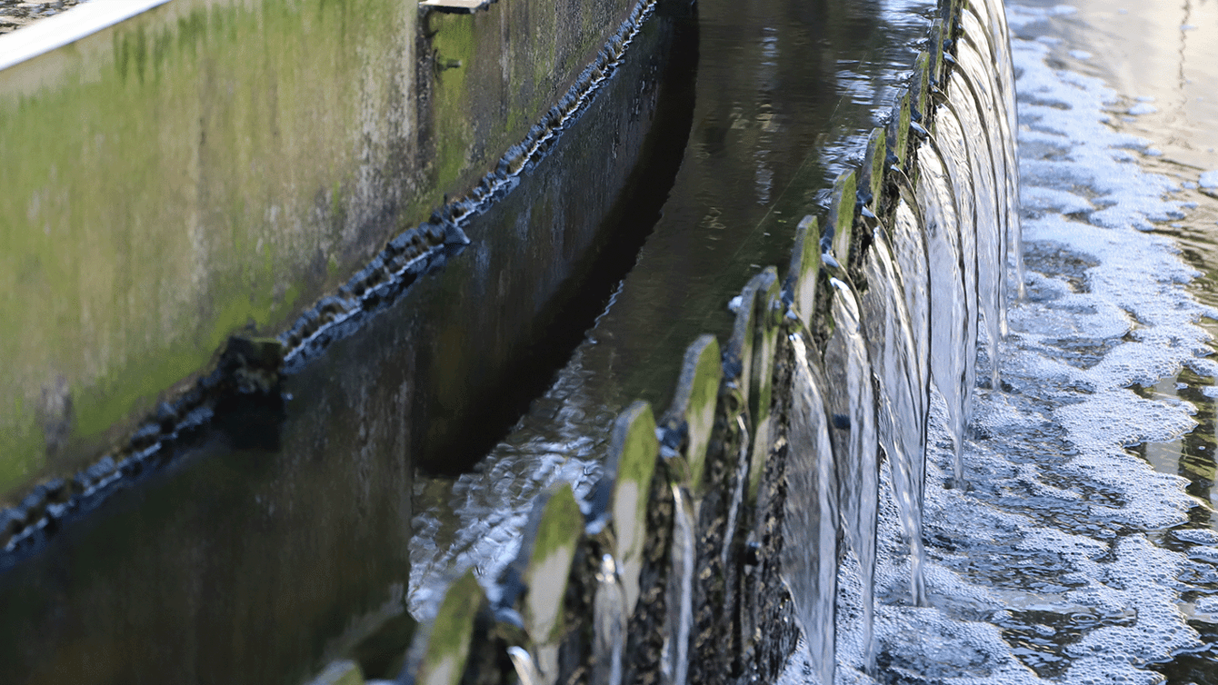 Using less water image