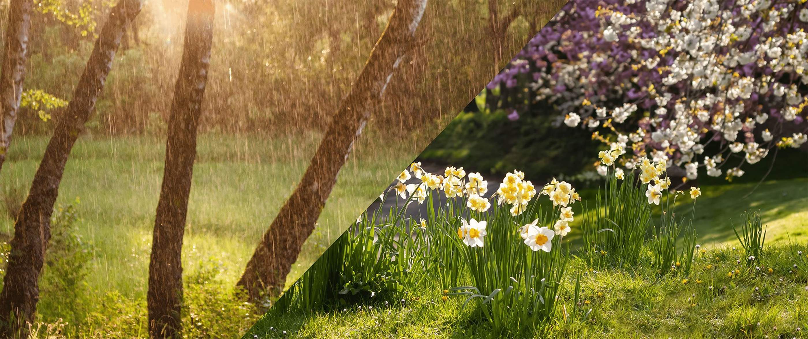 Background image for content-landing hero