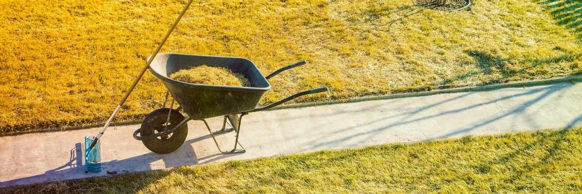 Wheelbarrow full of grass cuttings on a concrete garden path next to a lawn