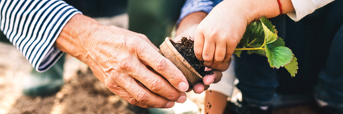 two people planting