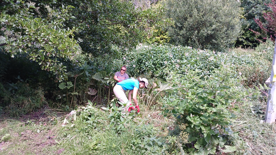 Bournemouth Water volunteers cleaning up the Bourne Steam